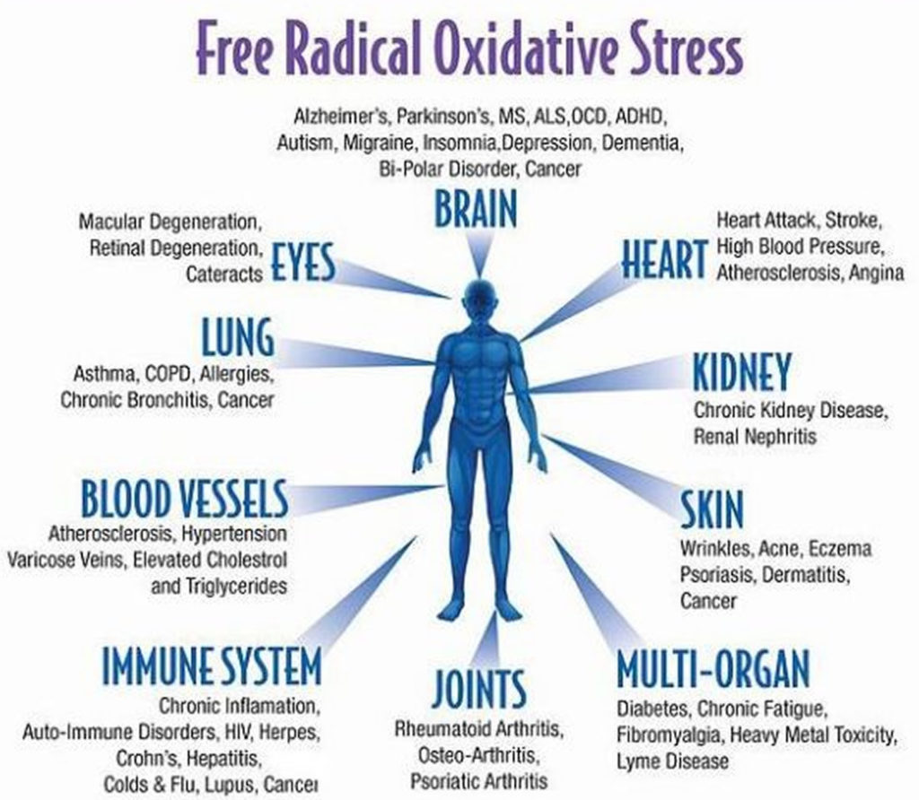 Oxidative Stress Rising Globally Pahrump Honey Company